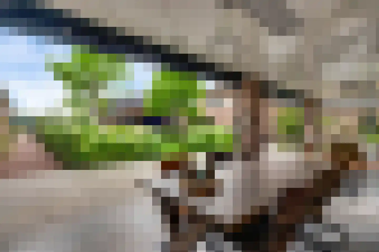 Aardborstweg 38 Mierlo thumbnail 46
