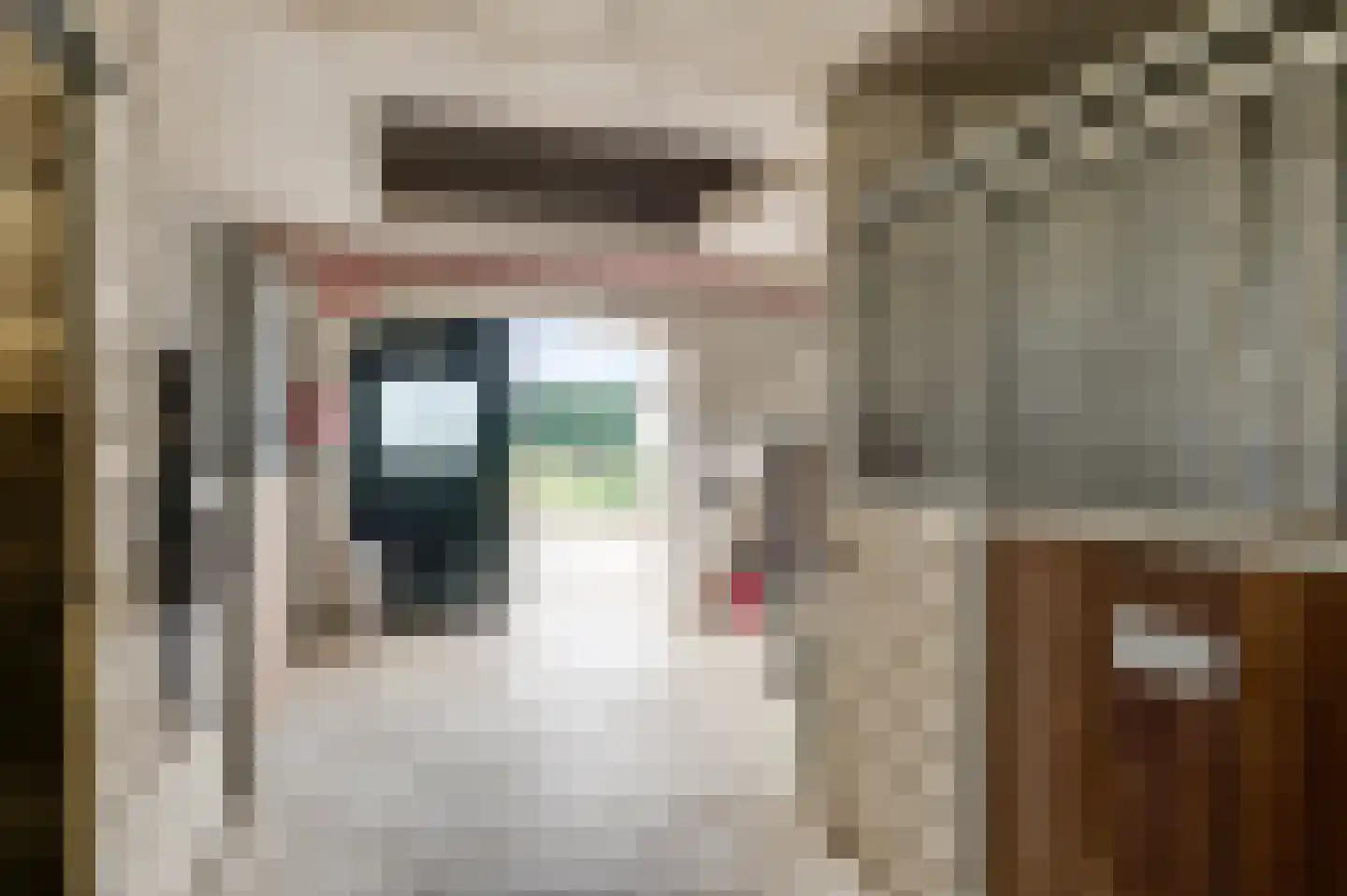 Aardborstweg 38 Mierlo thumbnail 52