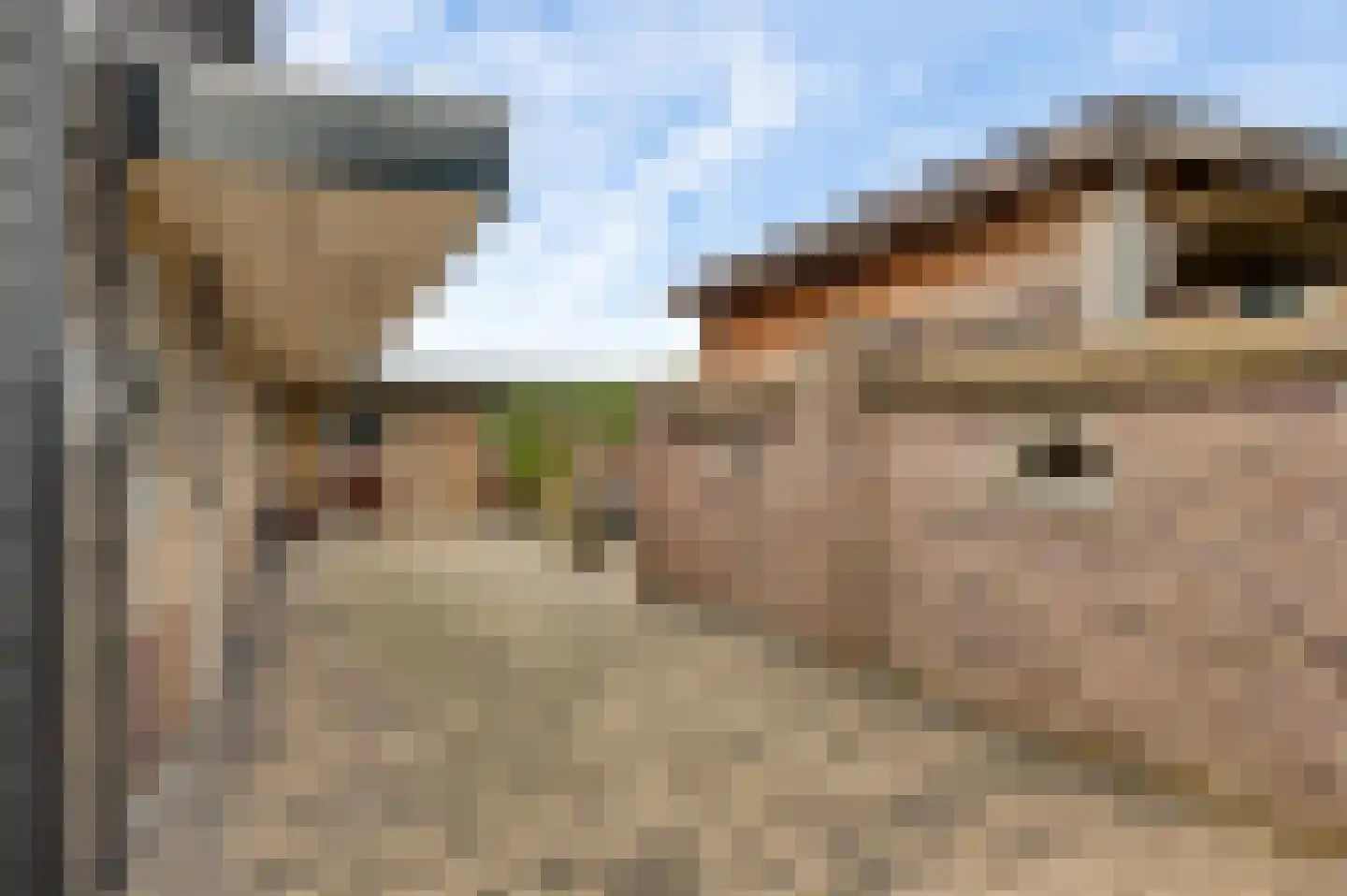 Aardborstweg 38 Mierlo thumbnail 54