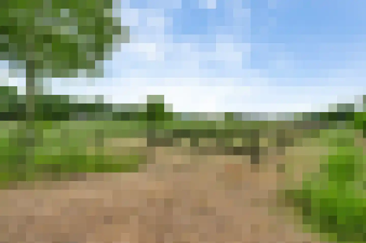 Aardborstweg 38 Mierlo thumbnail 57