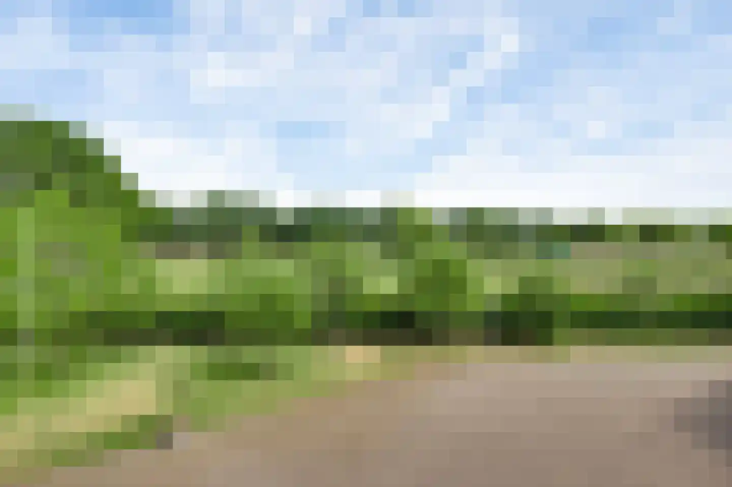 Aardborstweg 38 Mierlo thumbnail 58