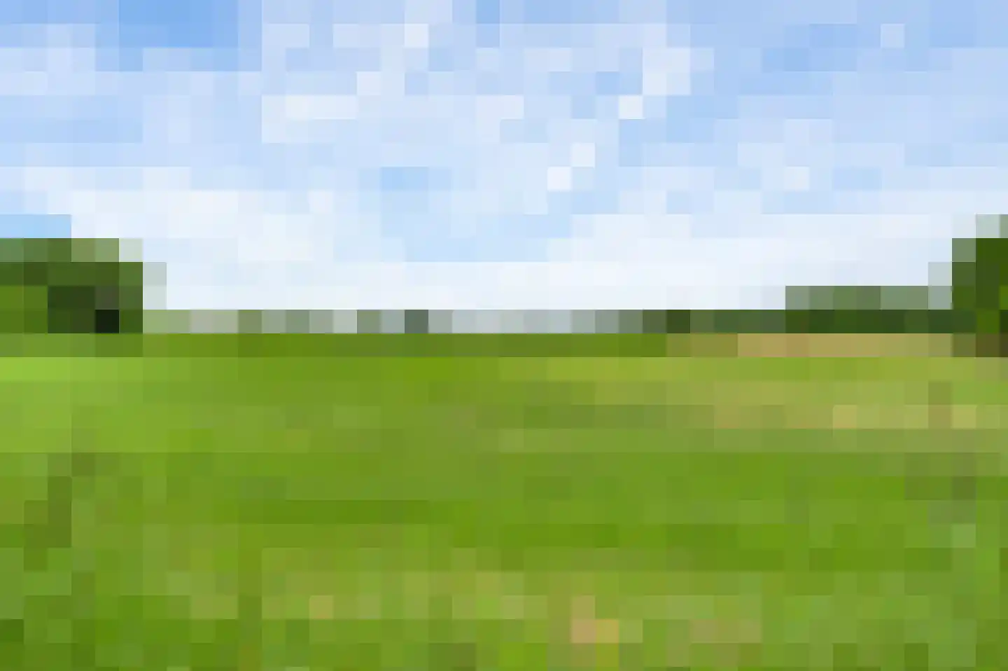 Aardborstweg 38 Mierlo thumbnail 59