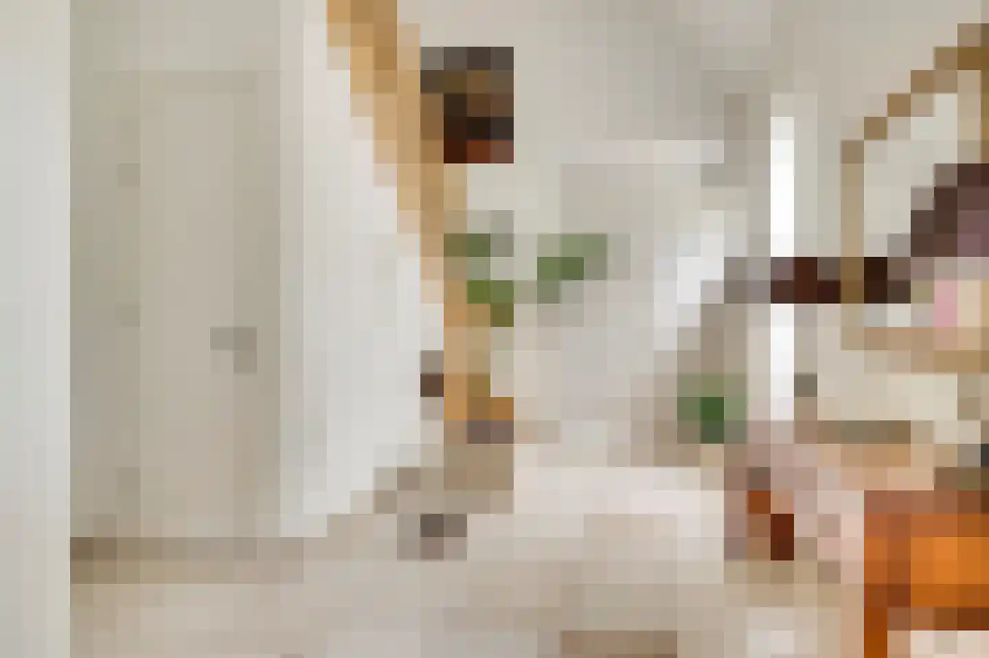 Aardborstweg 38 Mierlo thumbnail 7