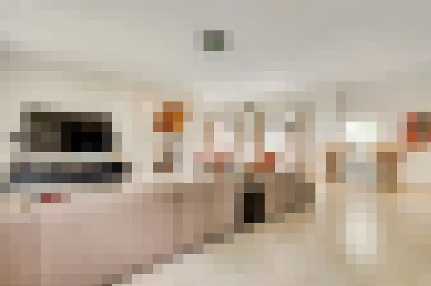 Aardborstweg 38 Mierlo thumbnail 8