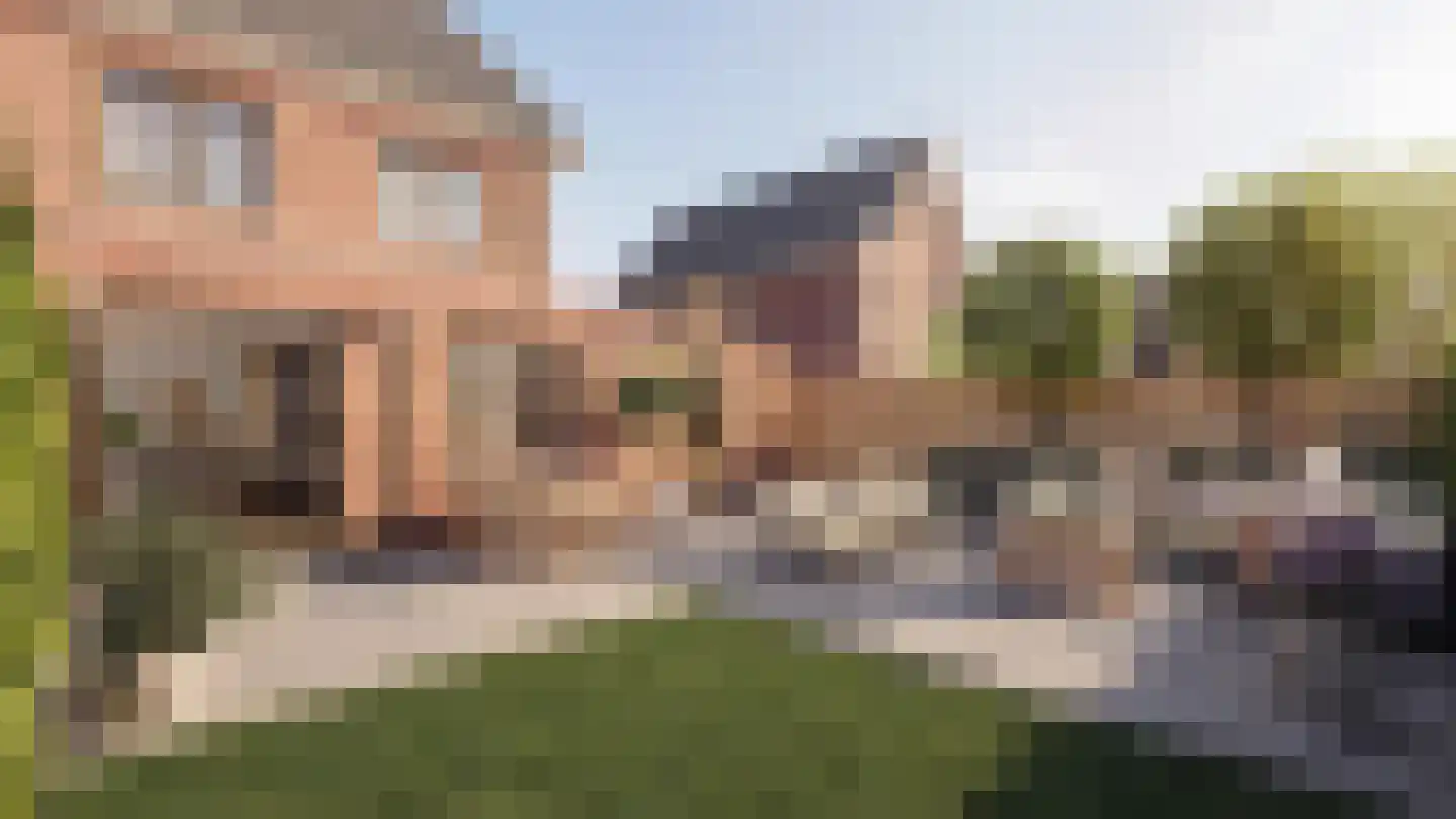 Aarde 3 Oude-Tonge thumbnail 9