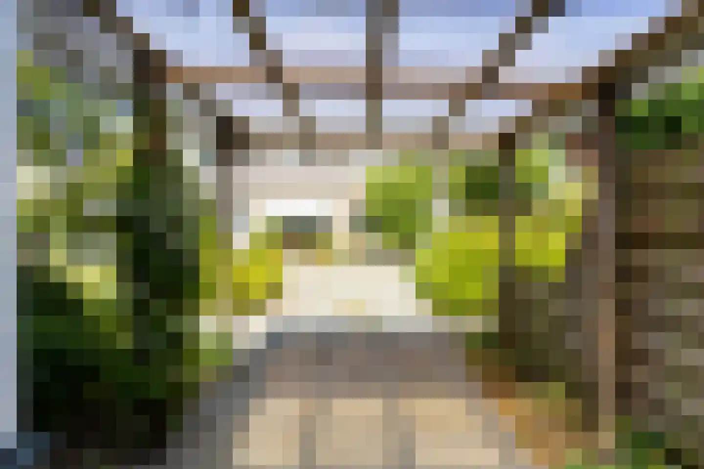 Aardebaan 4 Opmeer thumbnail 54