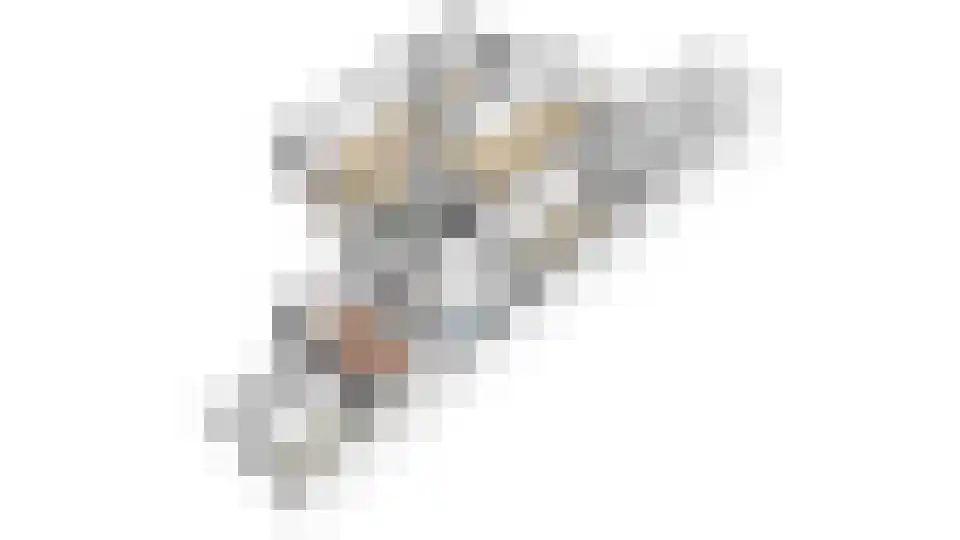Aardebaan 4 Opmeer thumbnail 56