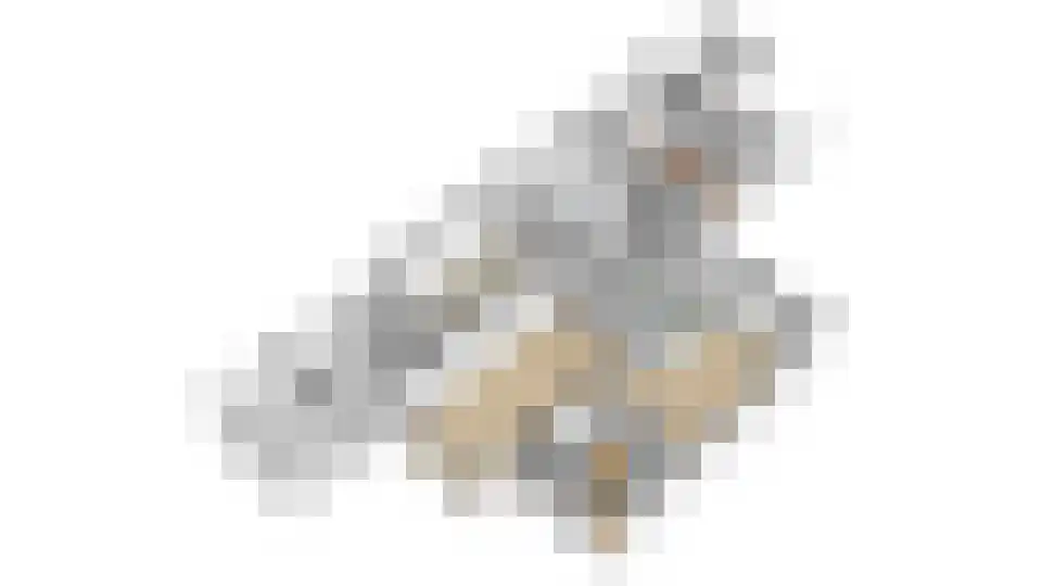 Aardebaan 4 Opmeer thumbnail 57