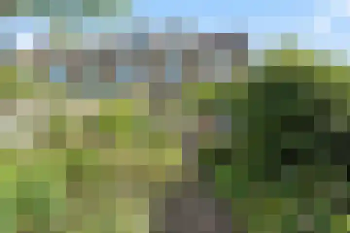 Aardelaan 1 Bilthoven thumbnail 10