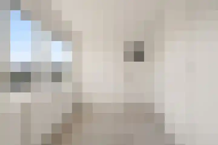 Aardelaan 1 Bilthoven thumbnail 14