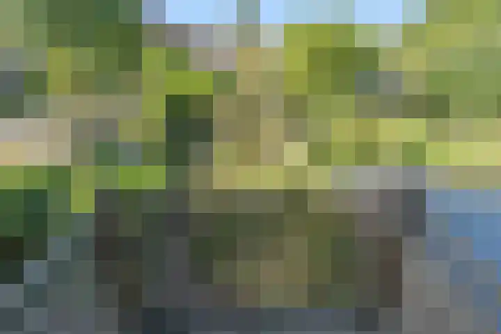 Aardelaan 1 Bilthoven thumbnail 18