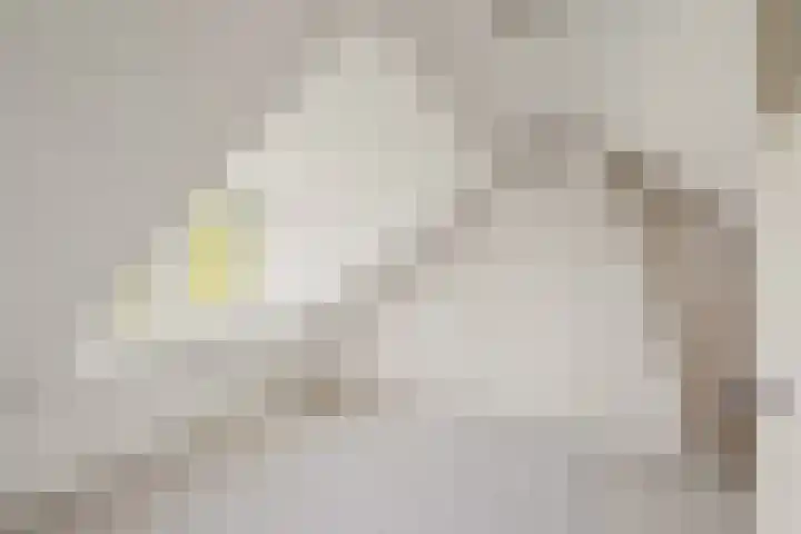 Aardelaan 1 Bilthoven thumbnail 22