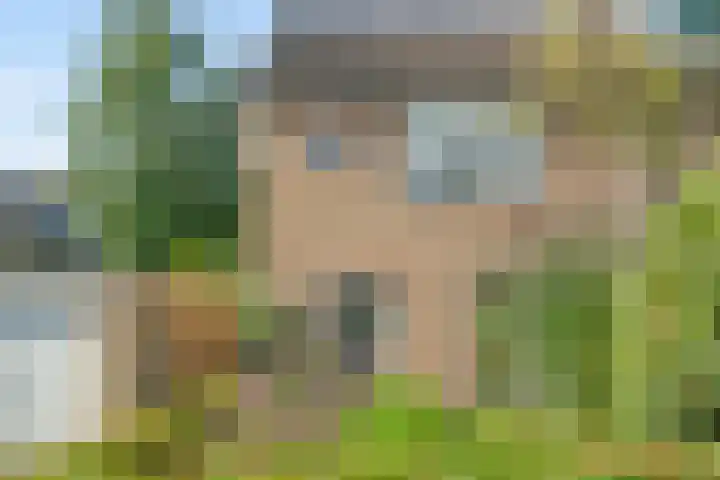 Aardelaan 1 Bilthoven thumbnail 25