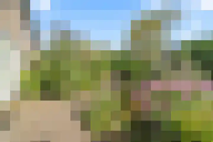 Aardelaan 1 Bilthoven thumbnail 30