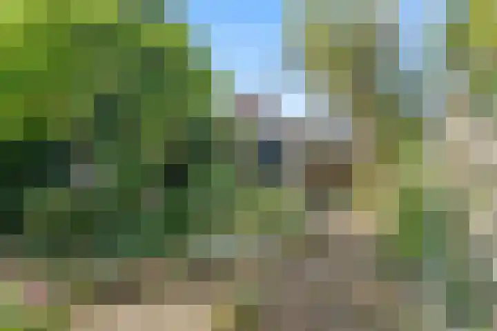 Aardelaan 1 Bilthoven thumbnail 7