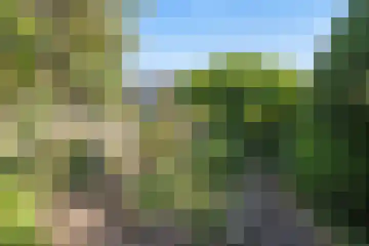 Aardelaan 1 Bilthoven thumbnail 9