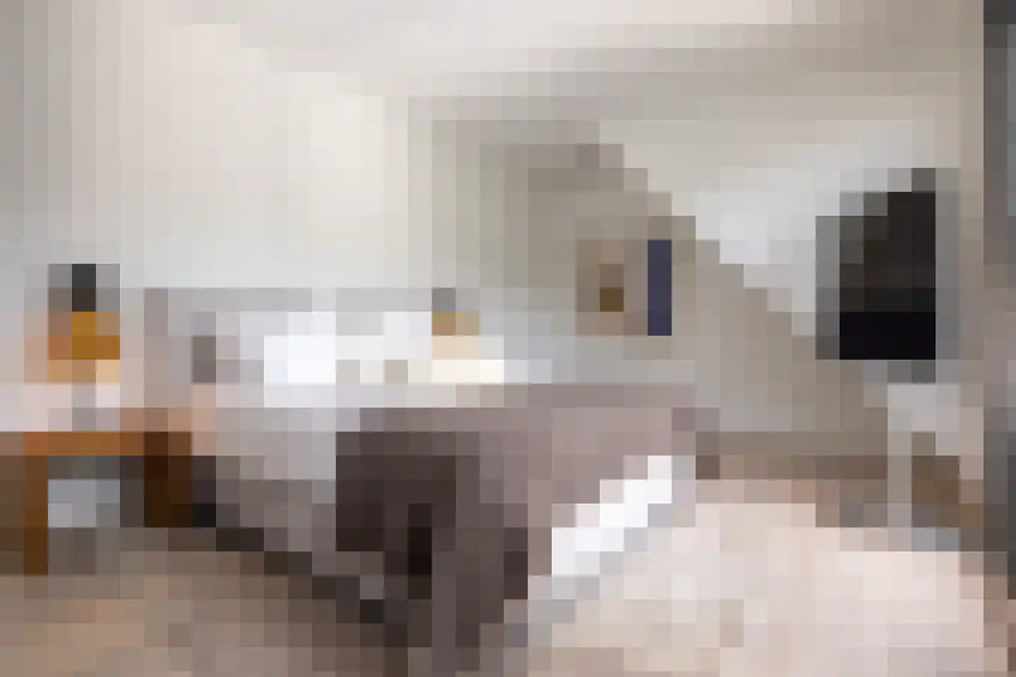 Aardenburg 10 Helmond thumbnail 26
