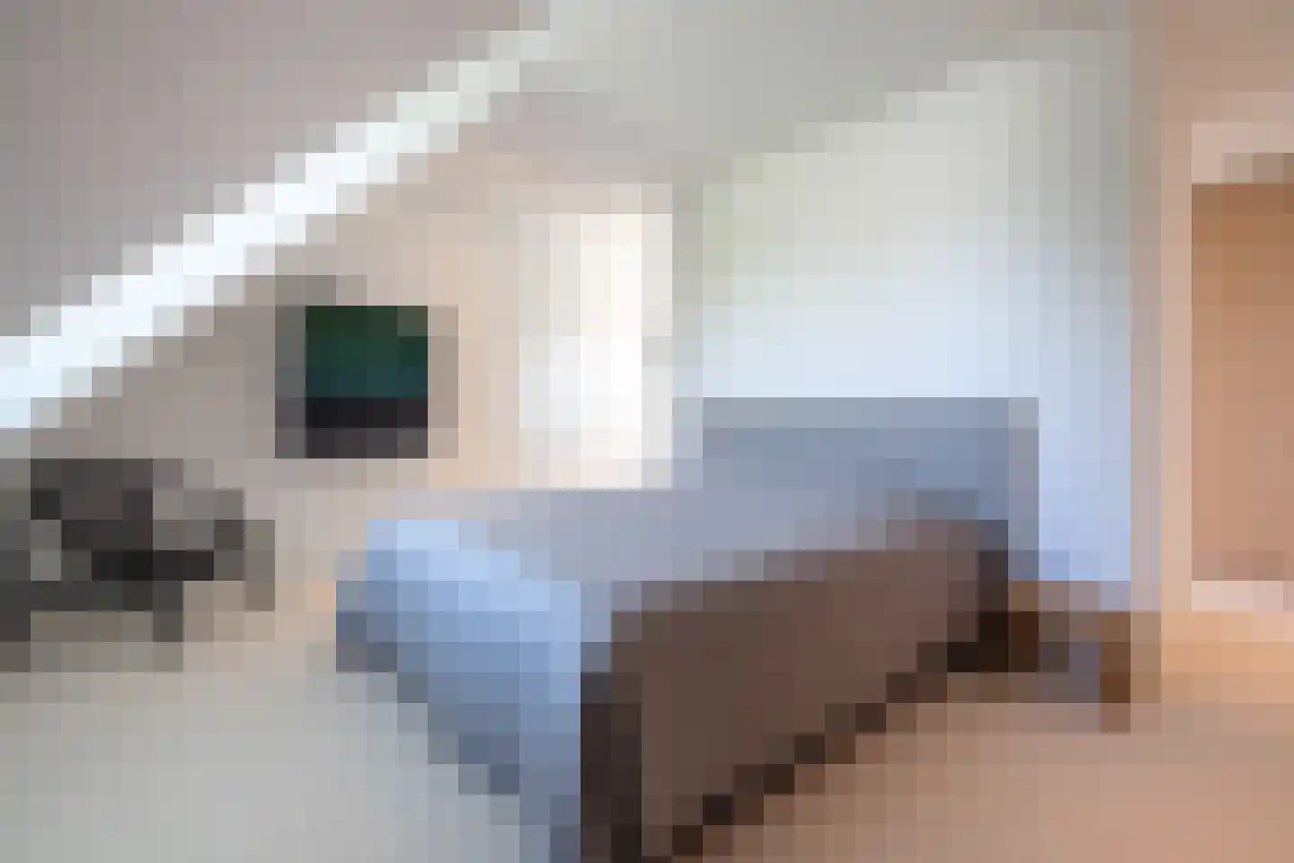 Aardenburg 10 Helmond thumbnail 33