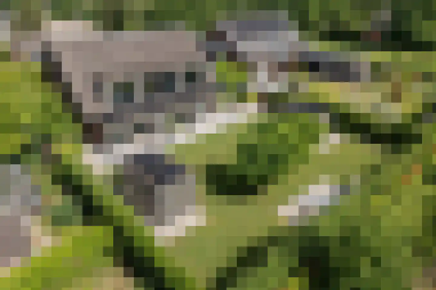 Aardenburg 10 Helmond thumbnail 46