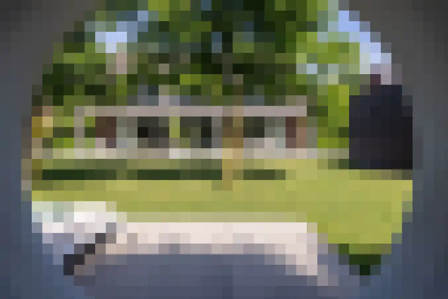 Aardenburg 10 Helmond thumbnail 56