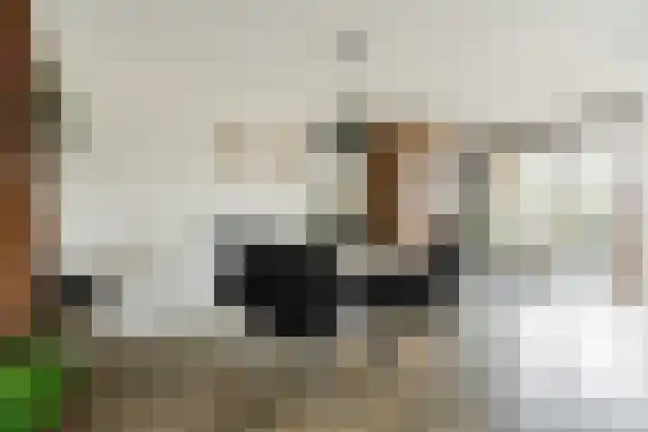 Aardenburg 13 Hoogeveen thumbnail 9