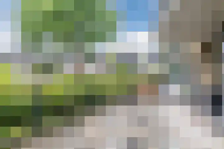 Aardenburg 5 Hoogeveen thumbnail 37