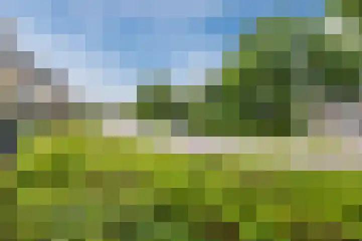 Aardenburg 5 Hoogeveen thumbnail 38