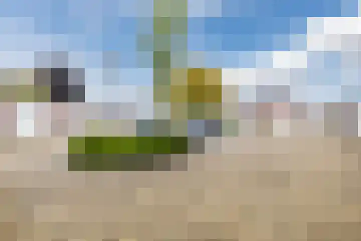 Aardenburg 5 Hoogeveen thumbnail 45