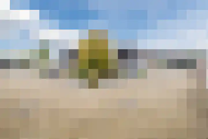 Aardenburg 5 Hoogeveen thumbnail 46