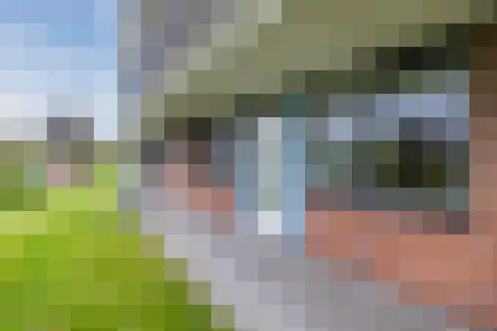 Aardenburg 5 Hoogeveen thumbnail 8