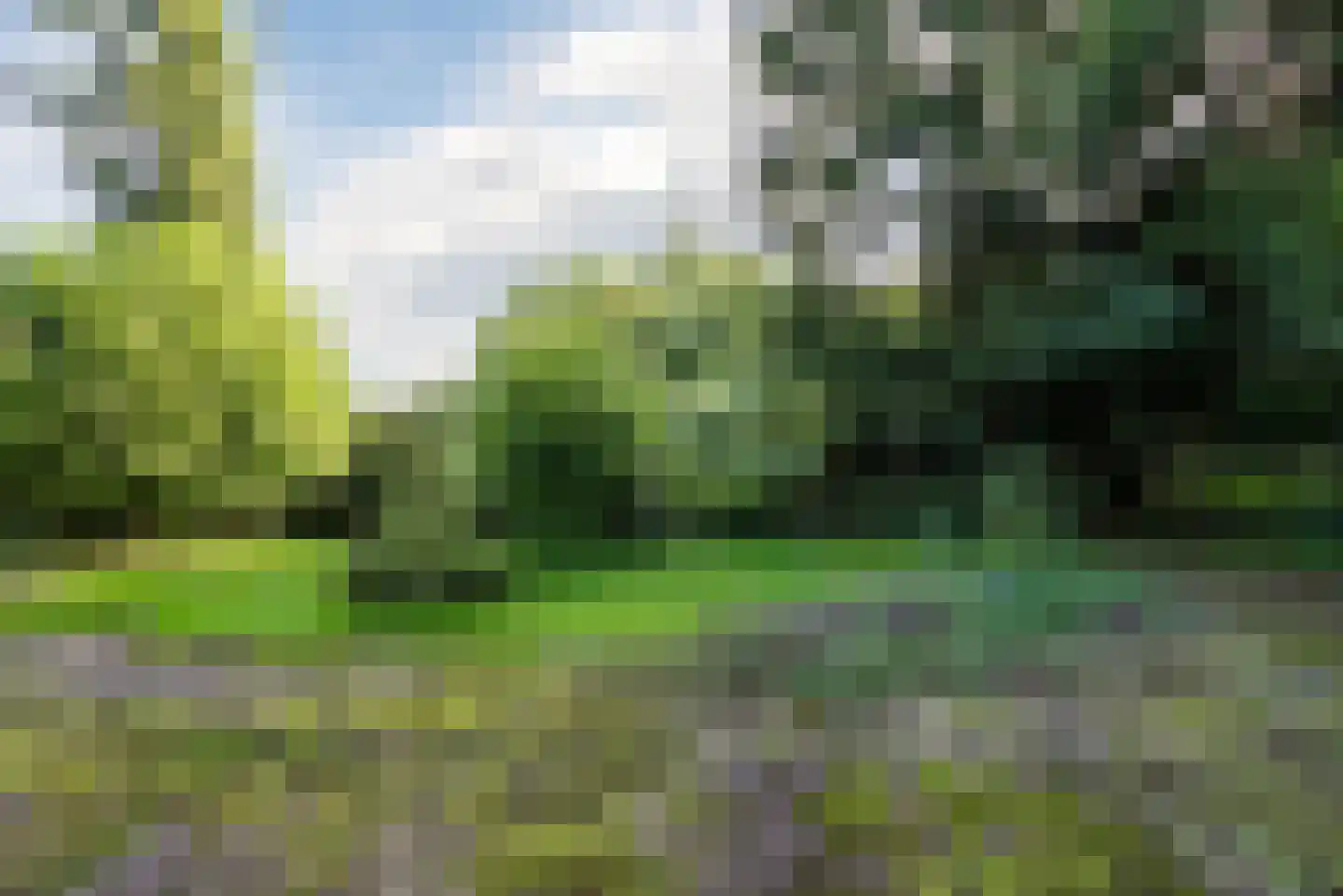 Aardenweg 27 Susteren thumbnail 10