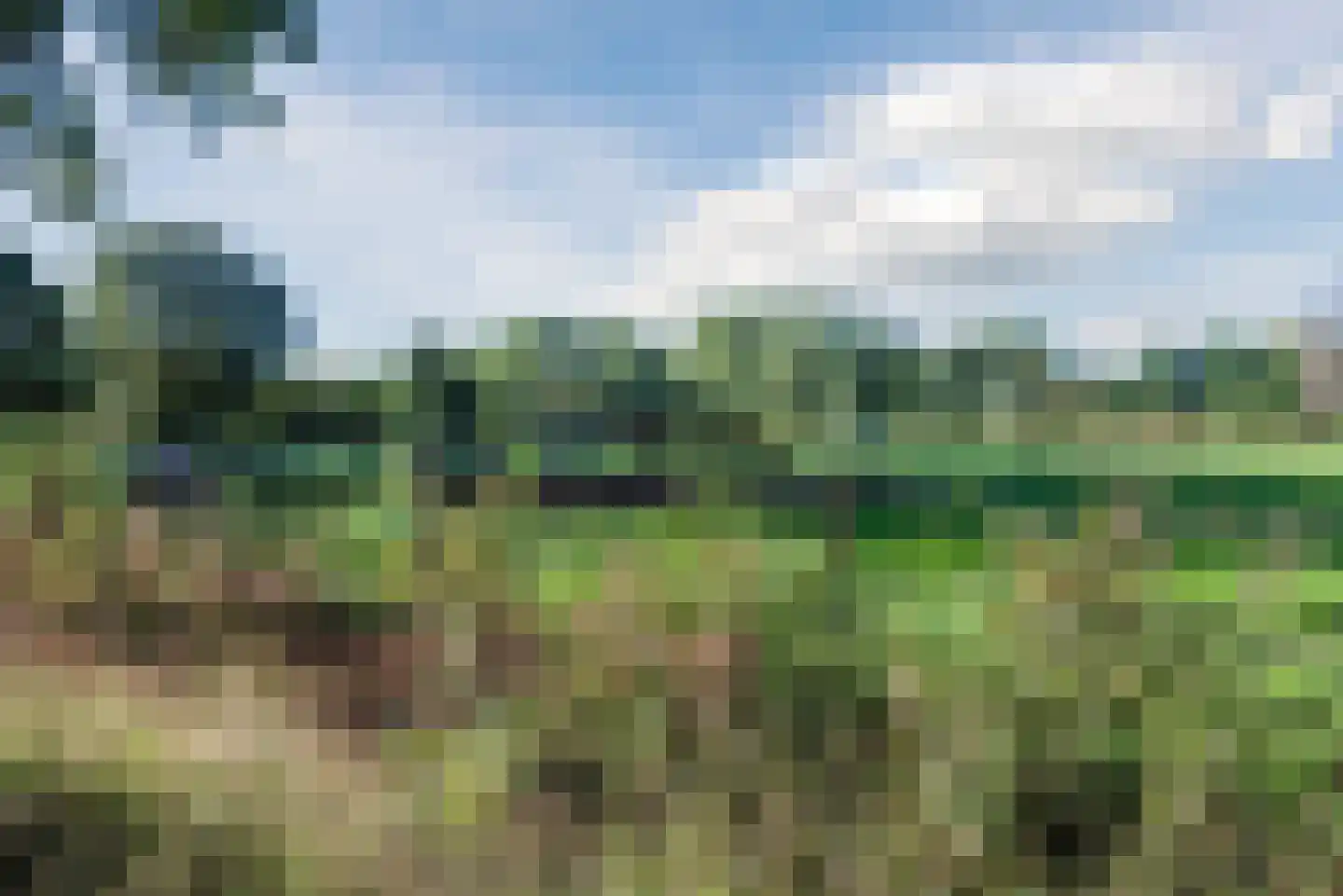 Aardenweg 27 Susteren thumbnail 30