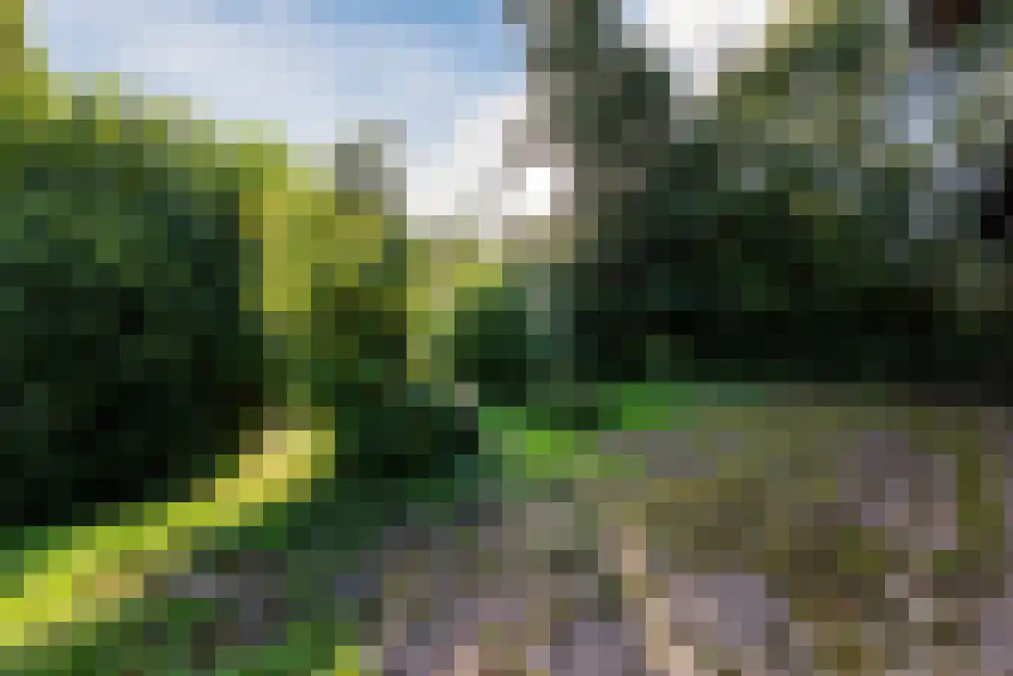 Aardenweg 27 Susteren thumbnail 4