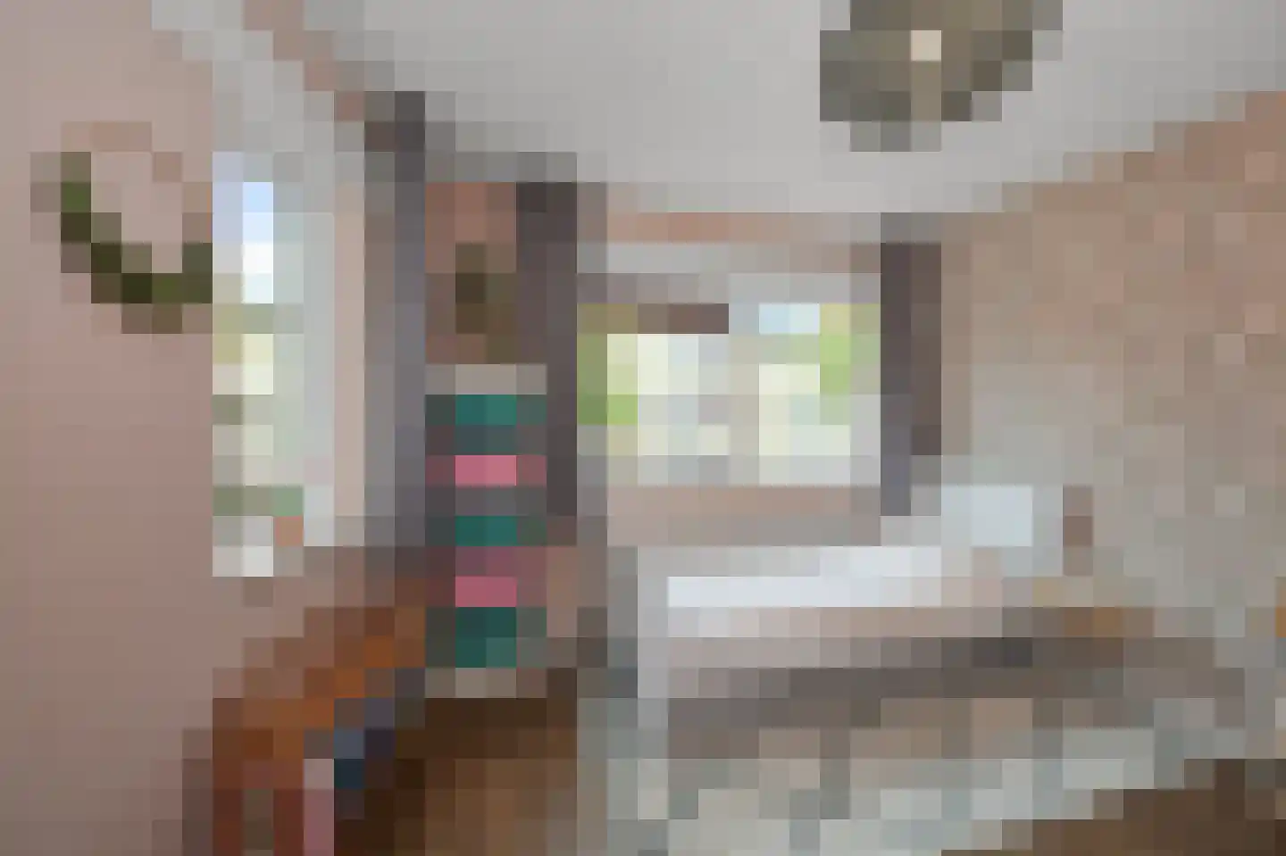 Aardepad 13 Alphen aan den Rijn thumbnail 13