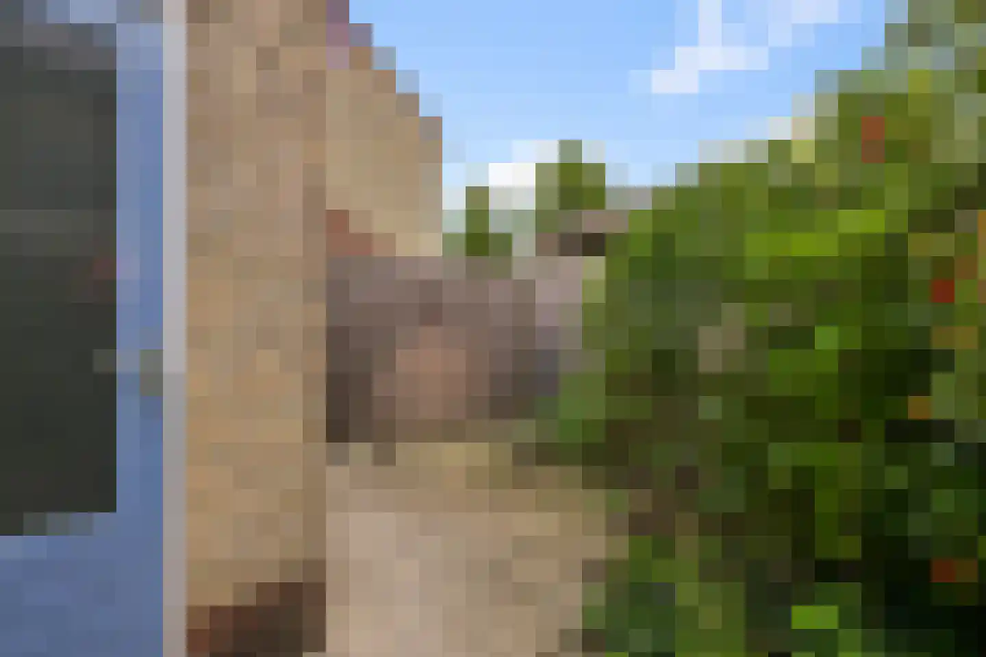 Aardepad 13 Alphen aan den Rijn thumbnail 28