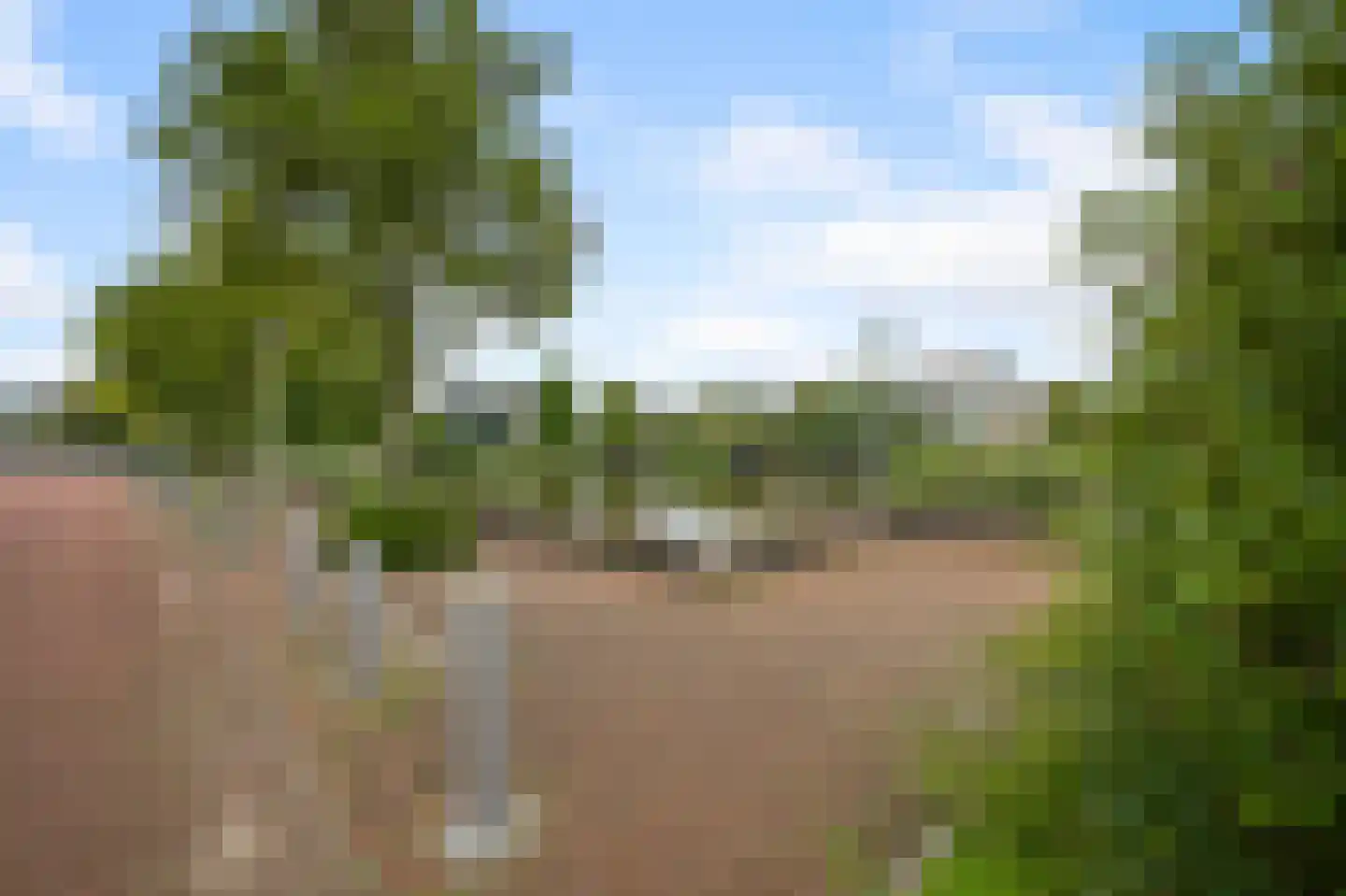 Aardepad 13 Alphen aan den Rijn thumbnail 33