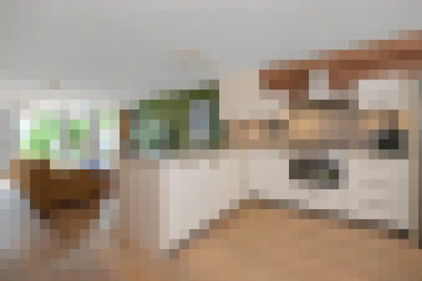 Aardepad 13 Alphen aan den Rijn thumbnail 4