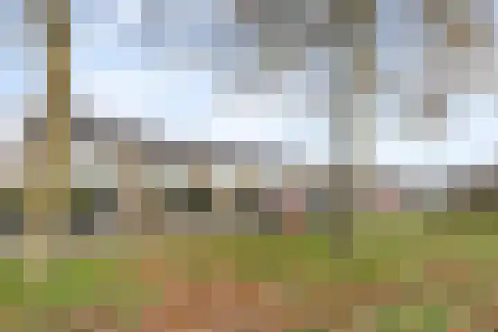 Aardjesberg 3 in Hilversum