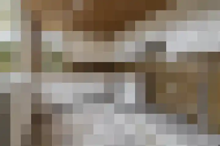 Aardjesberg 3 Hilversum thumbnail 9