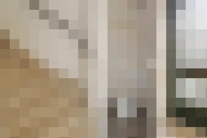 Aardjesberg 3 Hilversum thumbnail 11
