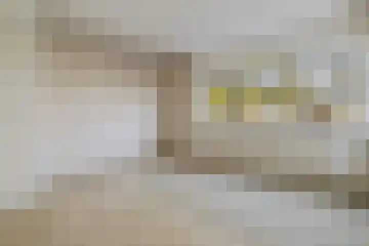 Aardjesberg 3 Hilversum thumbnail 14