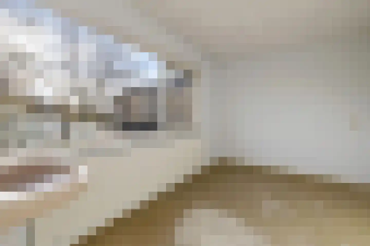 Aardjesberg 3 Hilversum thumbnail 19