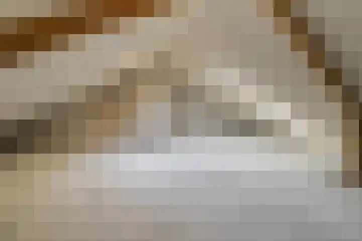 Aardjesberg 3 Hilversum thumbnail 20