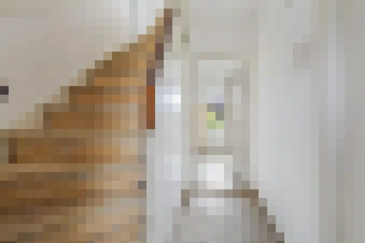Aardjesberg 8 Hilversum thumbnail 12