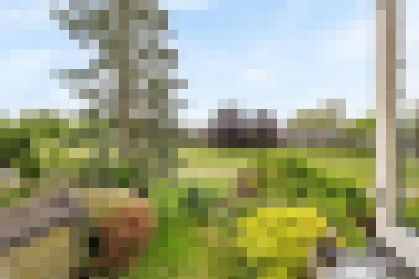 Aardjesberg 8 Hilversum thumbnail 17