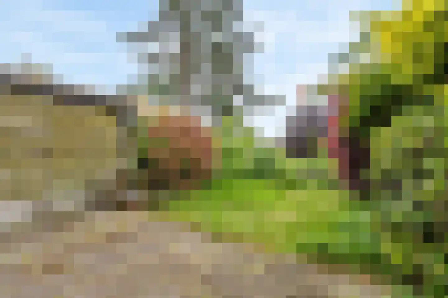 Aardjesberg 8 Hilversum thumbnail 25