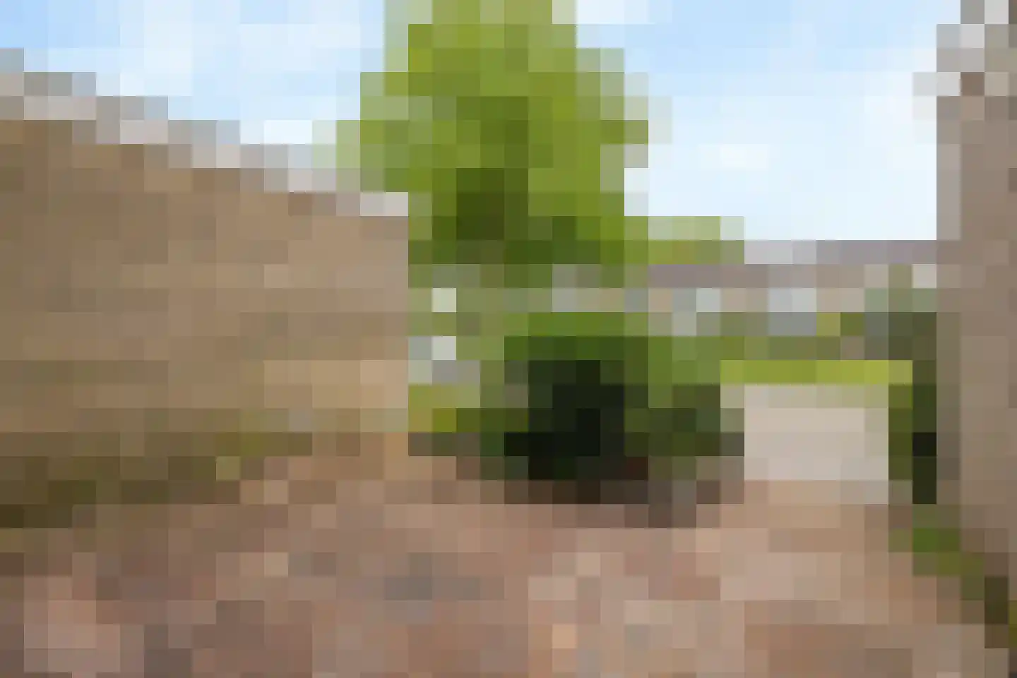 Aardjesberg 8 Hilversum thumbnail 5