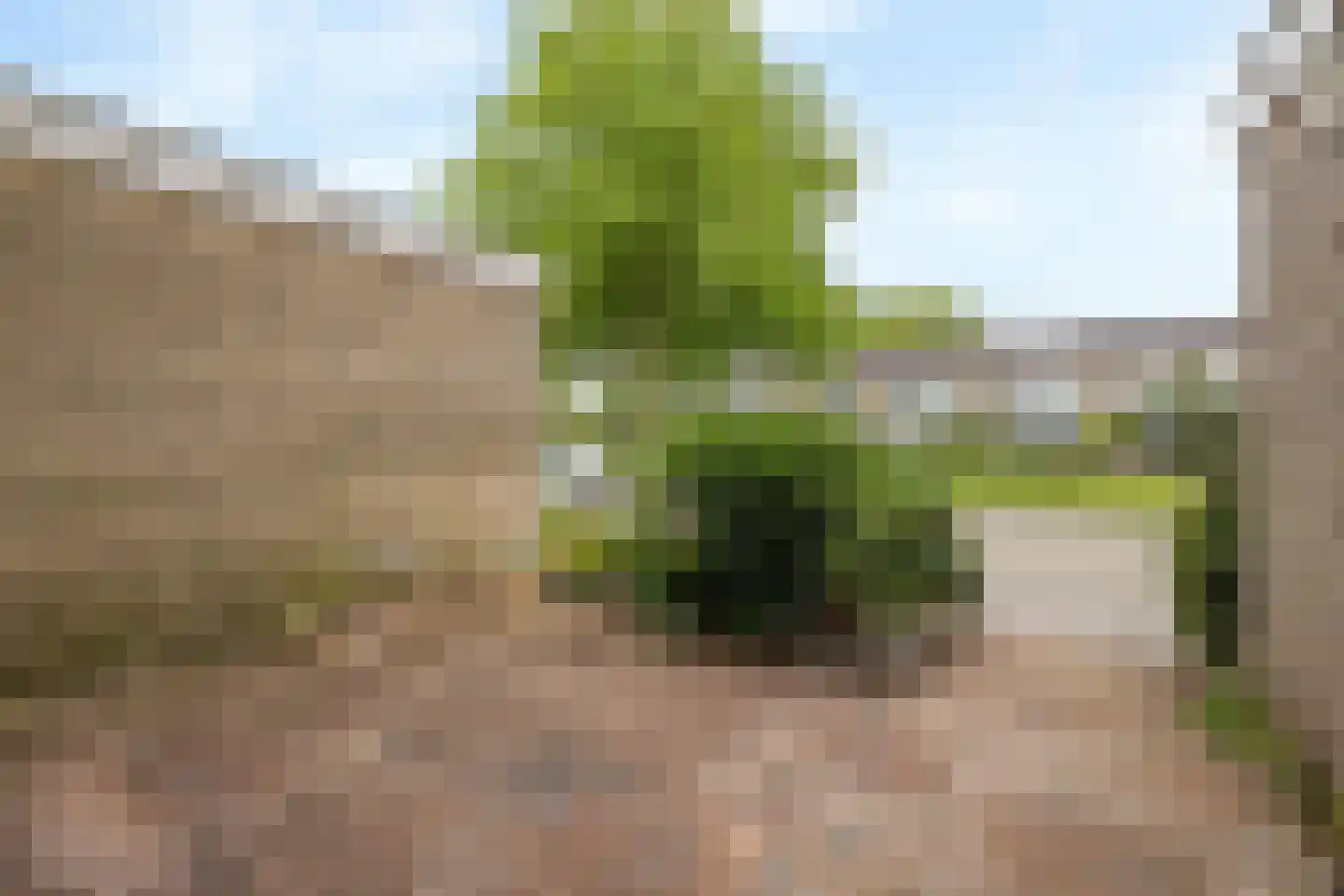 Aardjesberg 8 Hilversum thumbnail 5