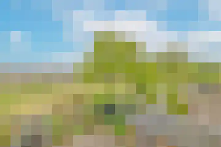 Aardjesberg 9 Hilversum thumbnail 24
