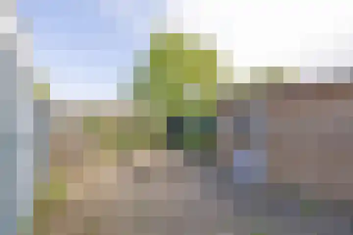 Aardjesberg 9 Hilversum thumbnail 25